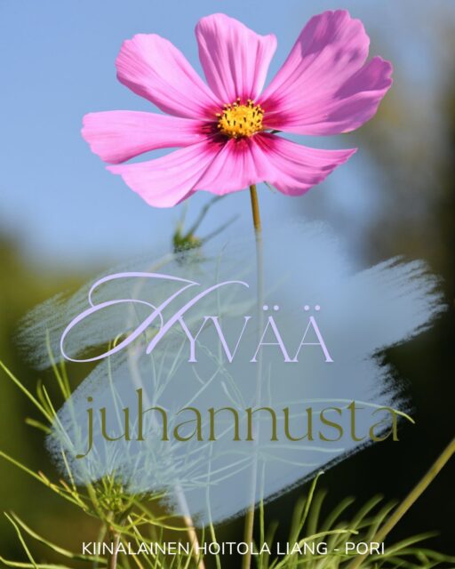 Hyvää juhannusta 🌿

Toivotan kaikille asiakkaille, yhteistyökumppaneille ja seuraajille oikein hyvää juhannusta.

Toivottavasti juhannukseen mahtuu iloa, lepoa, yhdessäoloa ja hetkiä, joista voi nauttia juuri itselle sopivalla tavalla.

Nautitaan kesästä ja valoisista päivistä.

Lämpimin terveisin, Liang
Kiinalainen Hoitola Liang

#juhannus #hyvääjuhannusta #kesä #pori #satakunta #kiinalainenhoitolaliang #visitpori #suomiareena #porijazz2026